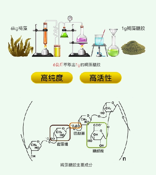 进驻天猫国际!褐宝优解读新时代国人健康“密码”
