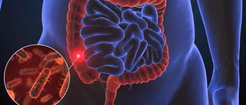 小心!核污水污染的不只是海鲜,你的肠道可能也在“躺枪”