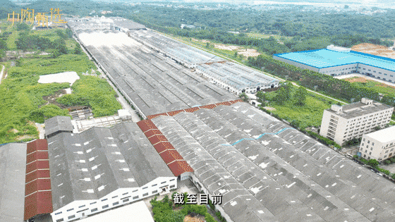 载誉前行!箭牌瓷砖摩登纯色系列获2025沸腾质量奖两项大奖!