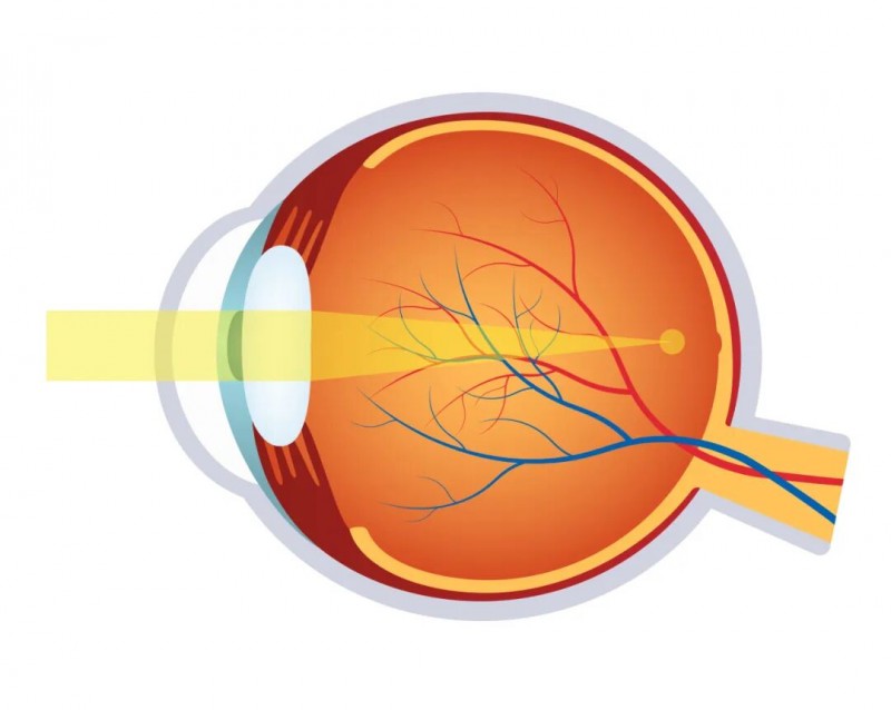 东南眼科医院开展春季学期近视防控科普直播