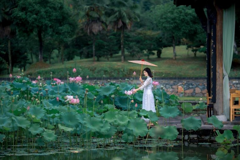 箭牌 × 厚塘庄园|水韵流转,在静谧空间邂逅卫浴雅趣