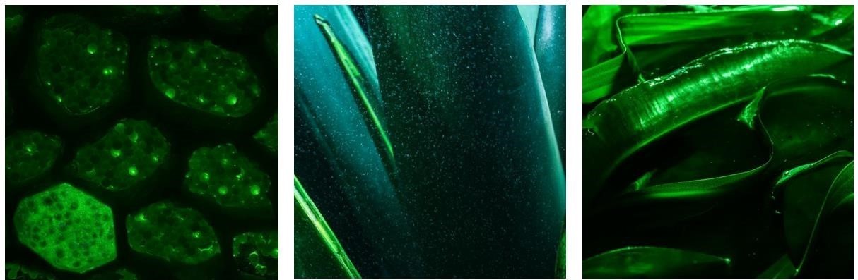 1742369510958838.jpg 3.jpg