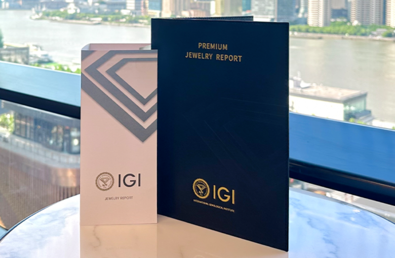 2024 年度盘点:igi 中国的闪耀征途与璀璨硕果