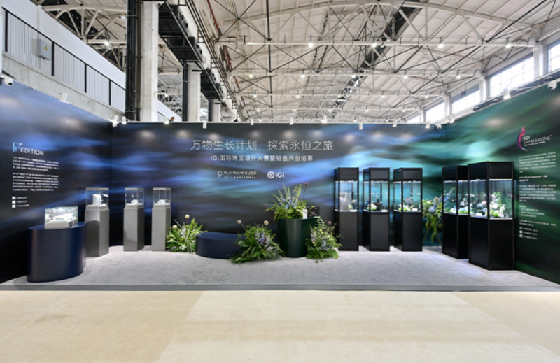 2024 年度盘点:igi 中国的闪耀征途与璀璨硕果