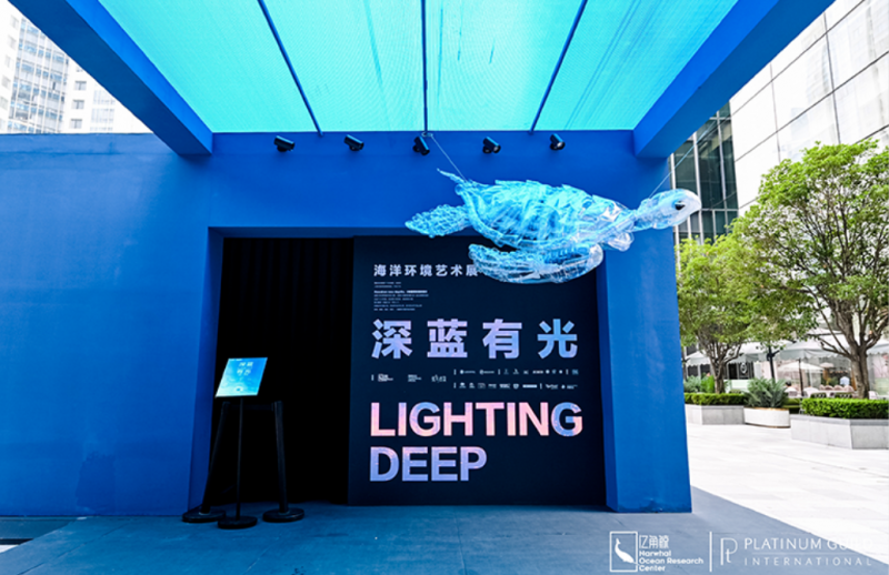 2024 年度盘点:igi 中国的闪耀征途与璀璨硕果