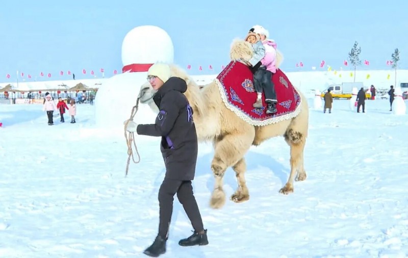 油画塔城·新年新景 | 热雪欢歌启新章——塔城地区冰雪文化旅游季多彩活动点燃冰雪激情