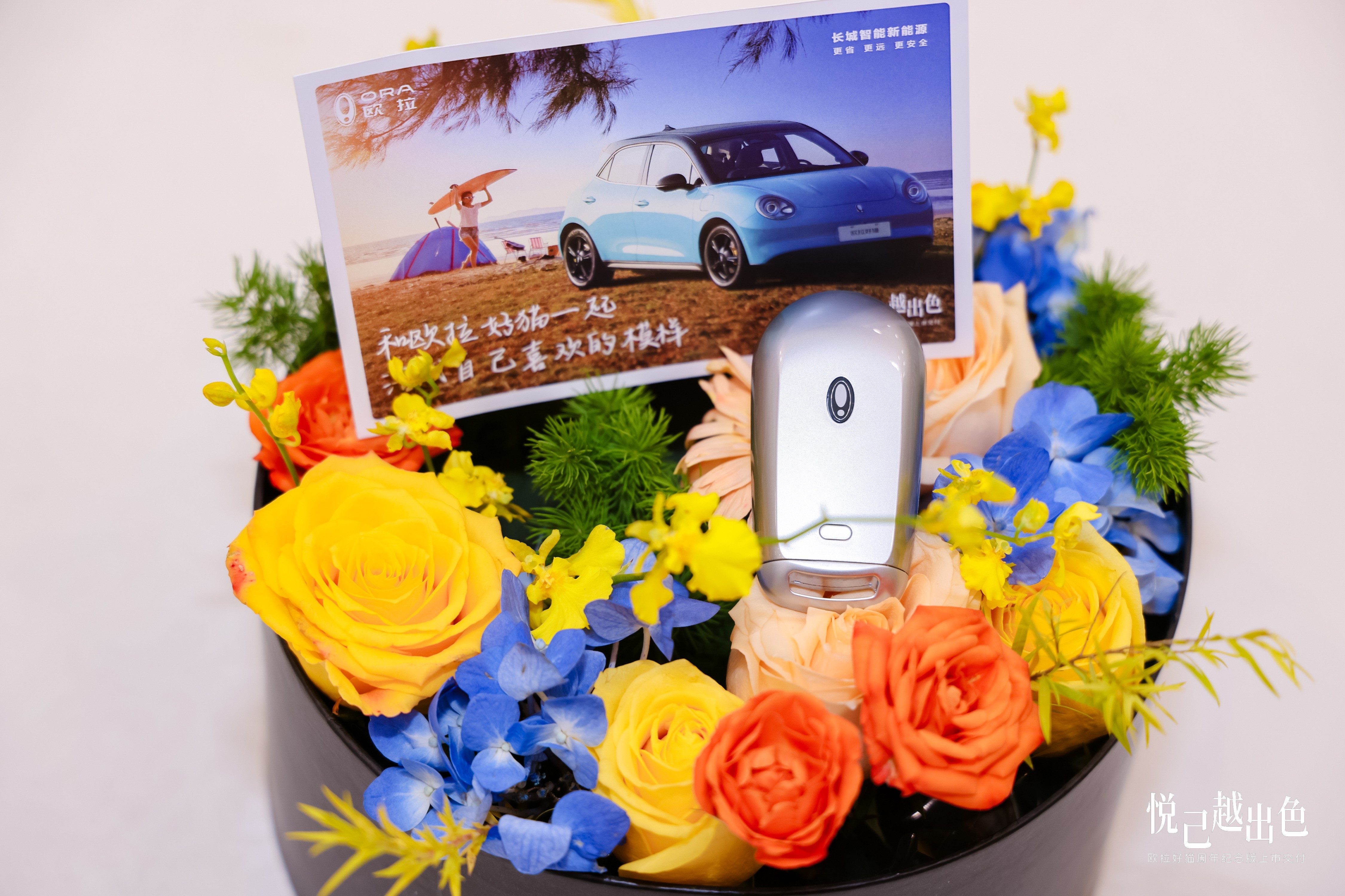 点亮你的每一段旅程,欧拉好猫周年纪念版荣耀交付