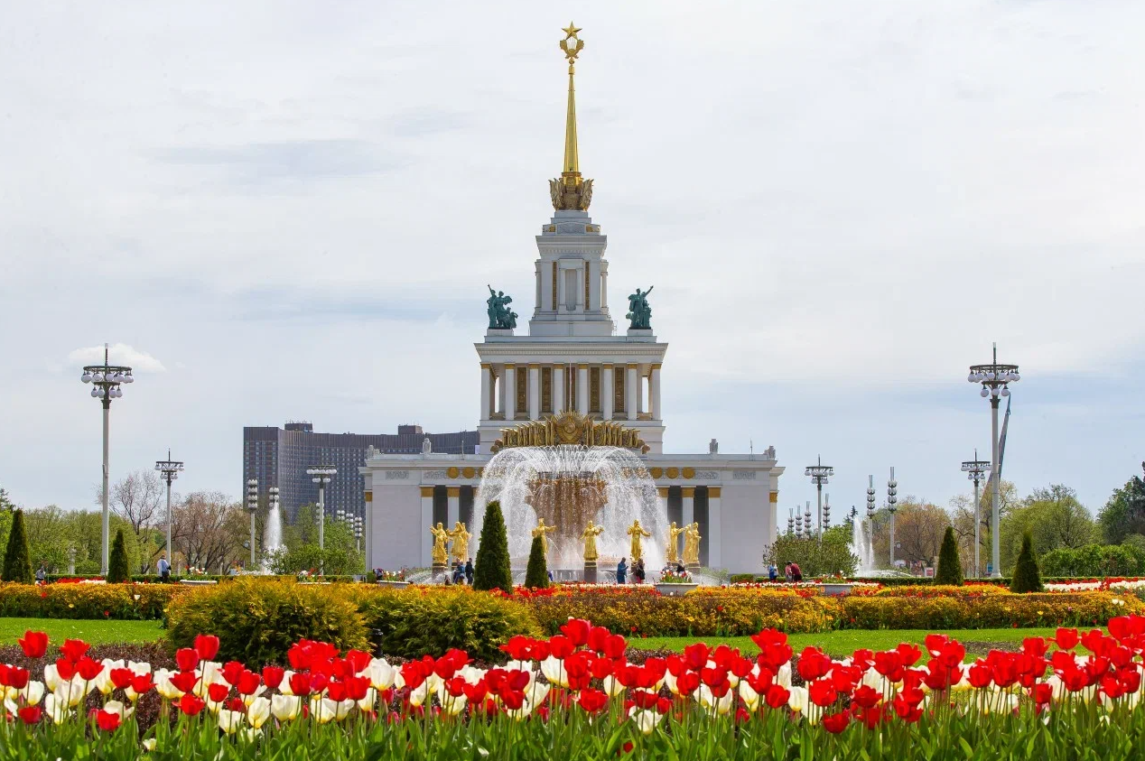 1740023337972568.png 1740023337972568.png