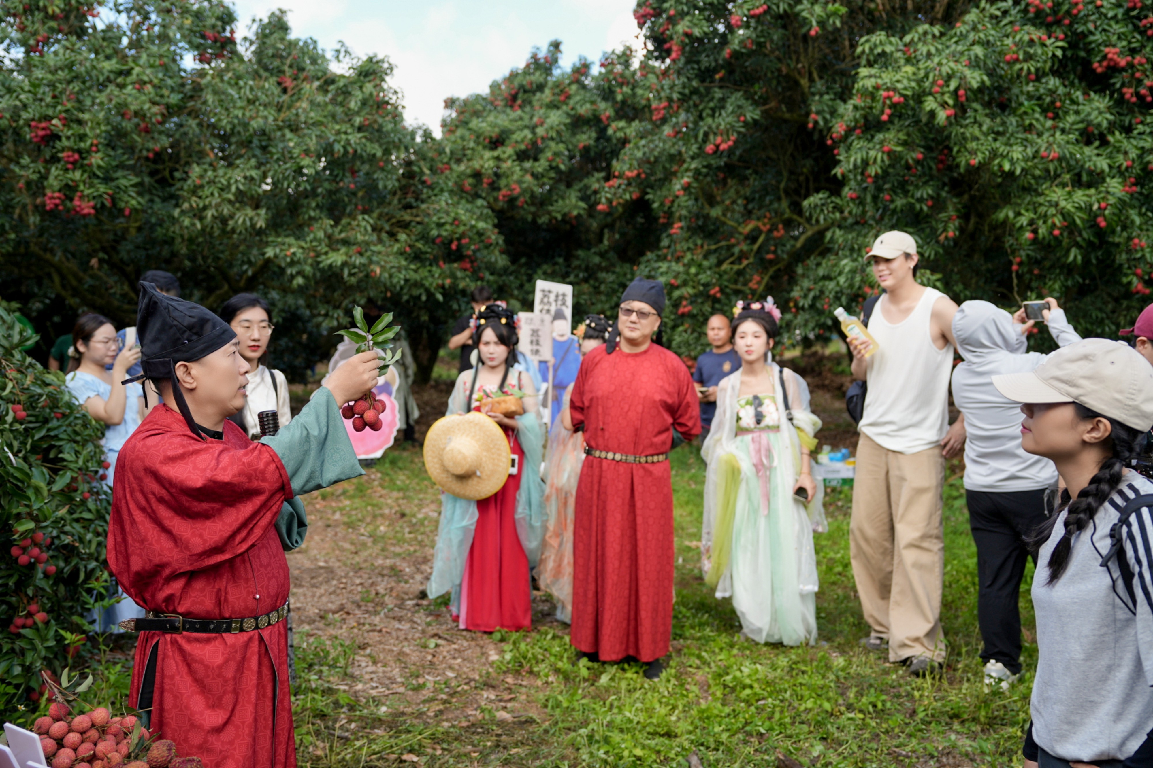 1751341534853402.jpg 4-荔枝产地溯源.jpg