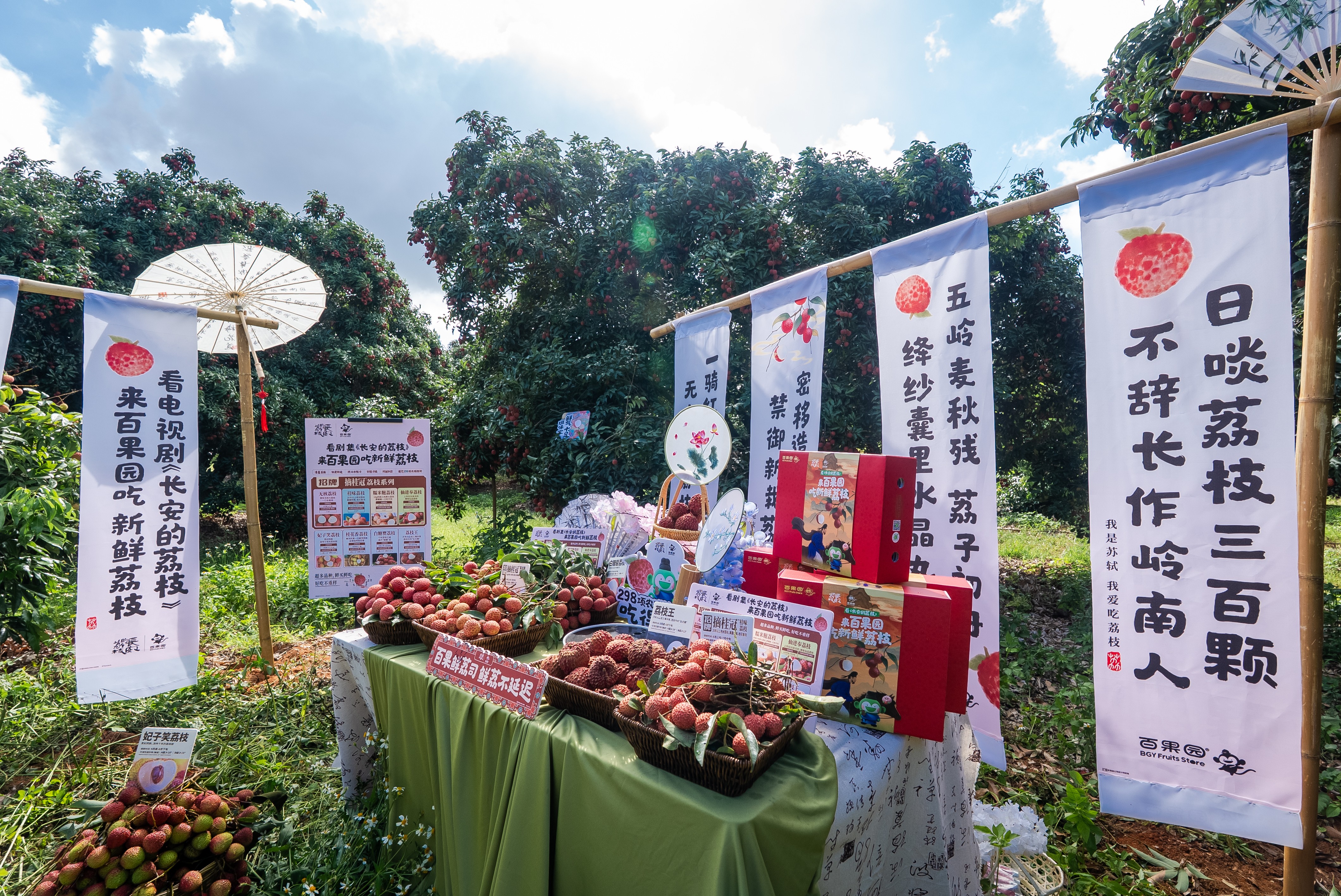 1751341548719632.jpg 5-荔枝溯源.jpg