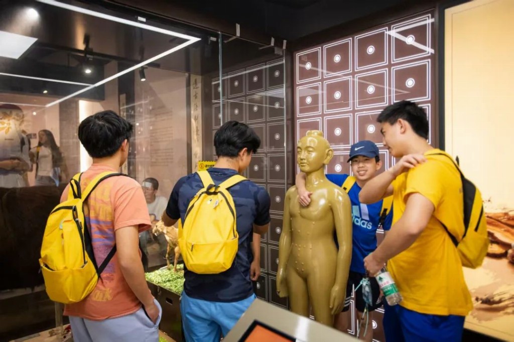 海创黄浦·智汇z世代 | 从舌尖到指尖:华裔青少年深度体验中国非遗文化