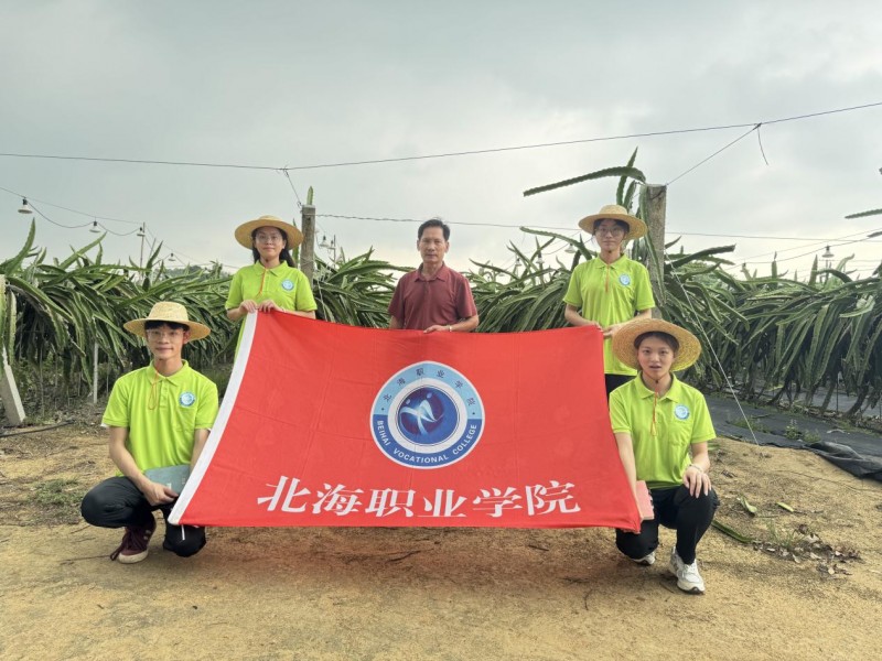 灯光种植成效显著 火龙果种植户点赞智慧补光设备