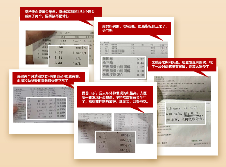 熬夜加班不心慌!赛立复血管黄金plus修内皮更安心