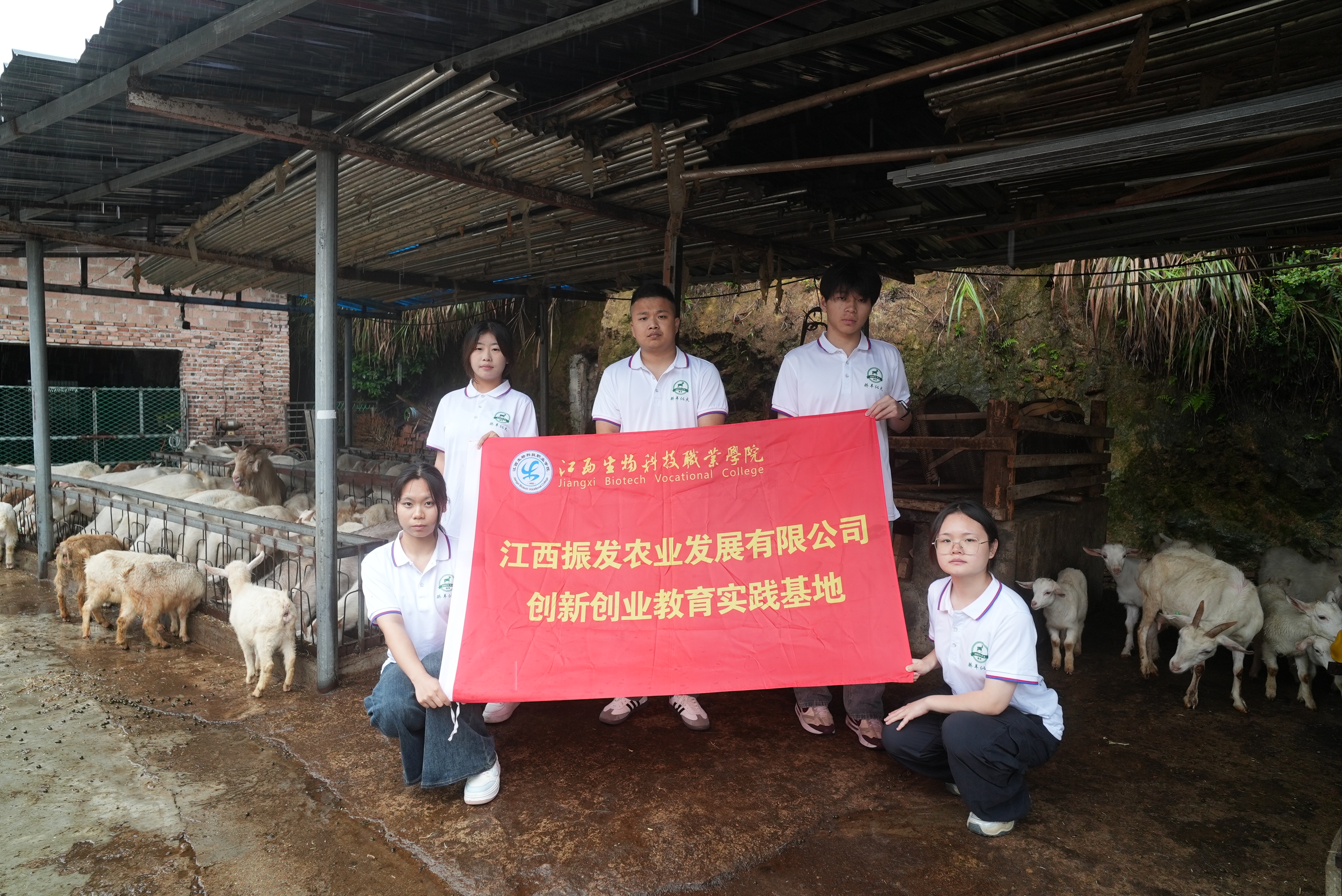 1749096384489296.jpg 2d3f3ee79037d0415018c8a573abe80.jpg