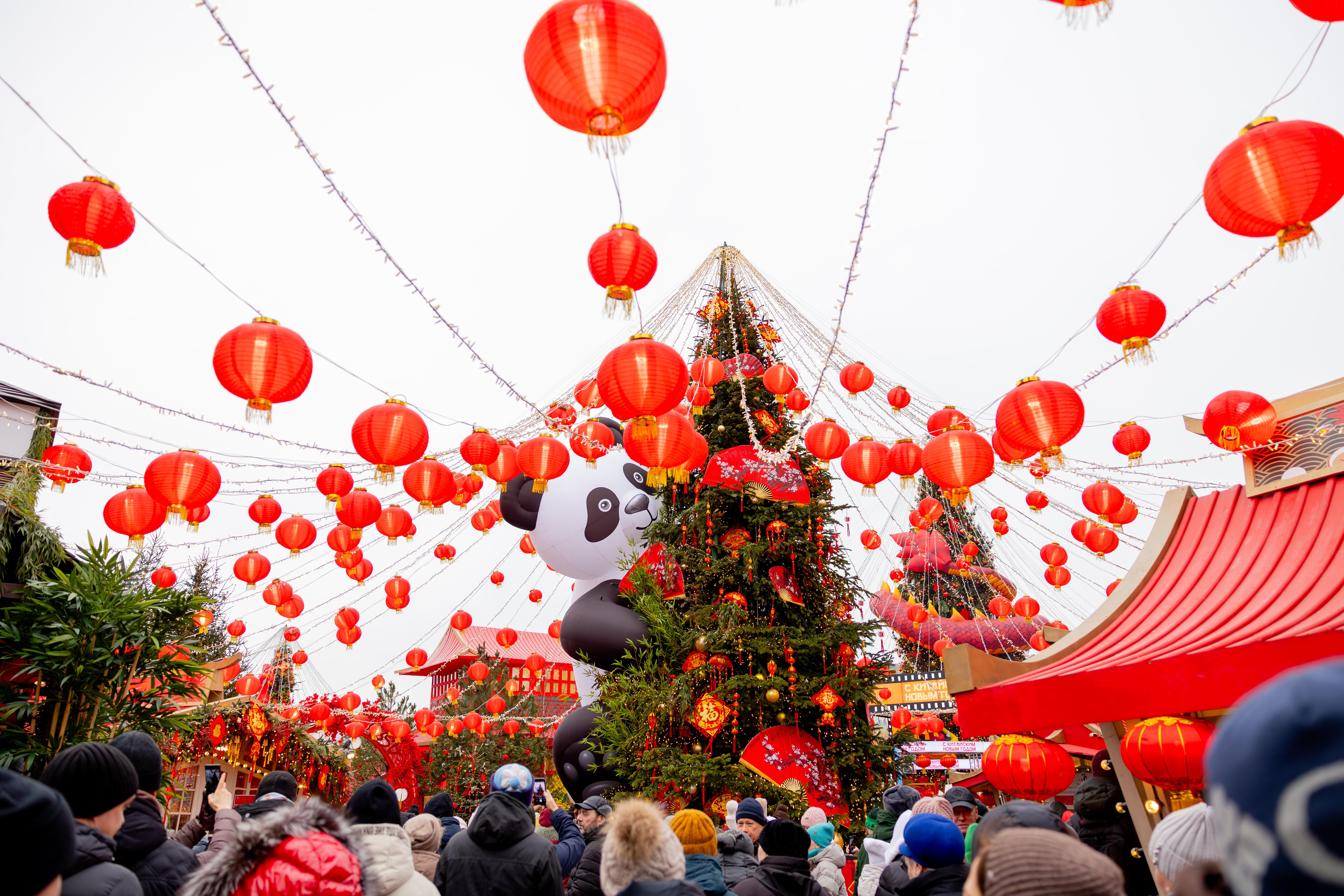 1770340994664020.jpeg 1770340994664020.jpeg