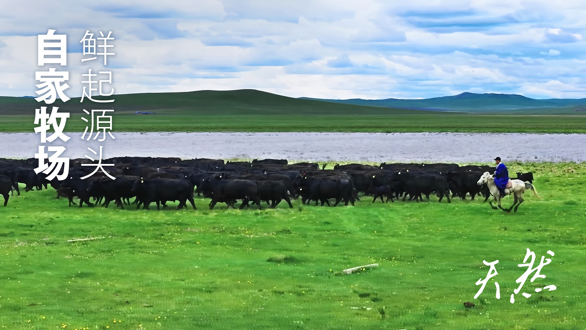 1751868456167157.jpg 4.jpg