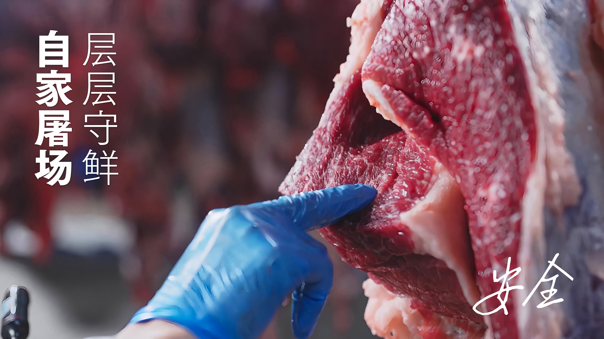 1751868482404795.jpg 6.jpg