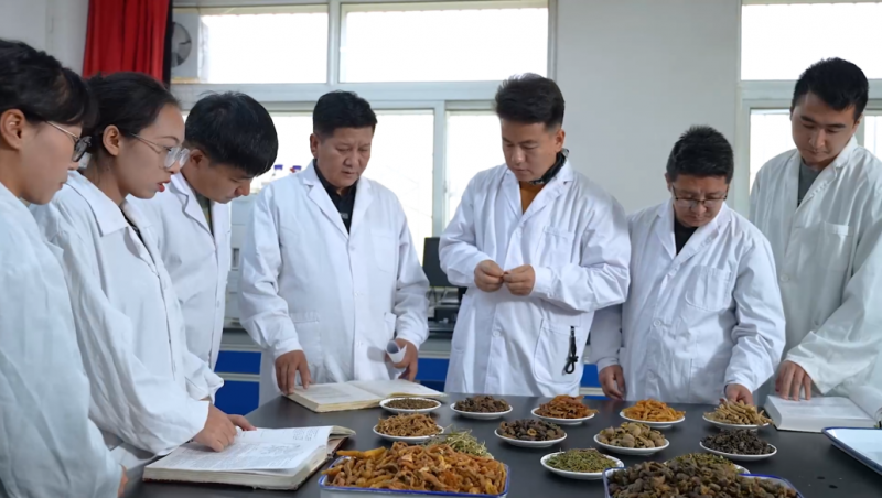 中央新影发现之旅频道播出04月14号播出《金诃藏药:古老智慧与现代创新的交响》