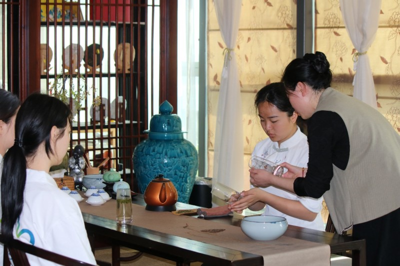 浙江舟旅健院“植此青绿”团队开启普陀佛茶调研,探索产业发展新路径