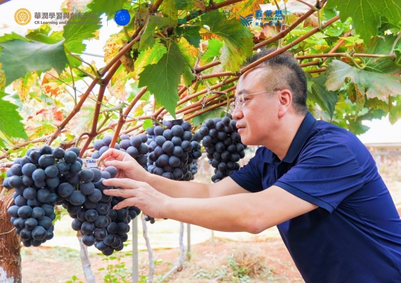 坚守品质初心，olé多维度升级消费体验