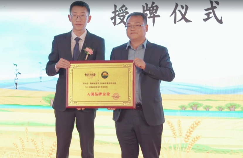 《智慧助农 品牌强农》2025粮食单产提升智能化数字化应用推广田间日大会圆满落幕