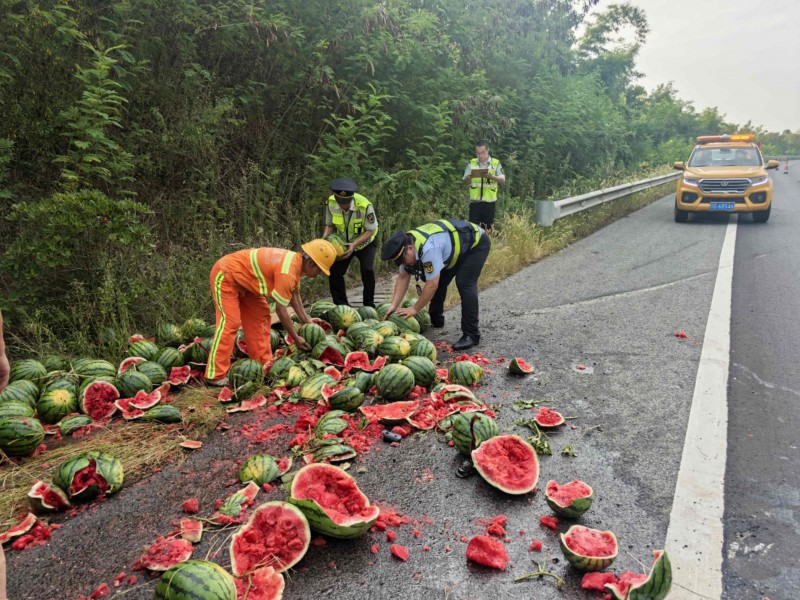 高温下的坚守:重庆一货车侧翻1.3吨西瓜散落一地 高速执法多部门协作挽回瓜农“甜蜜”损失