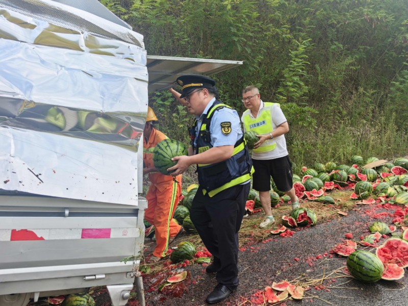 高温下的坚守:重庆一货车侧翻1.3吨西瓜散落一地 高速执法多部门协作挽回瓜农“甜蜜”损失