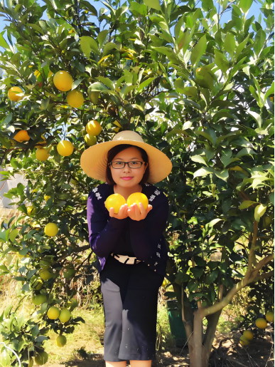 1749718153178764.png image.png