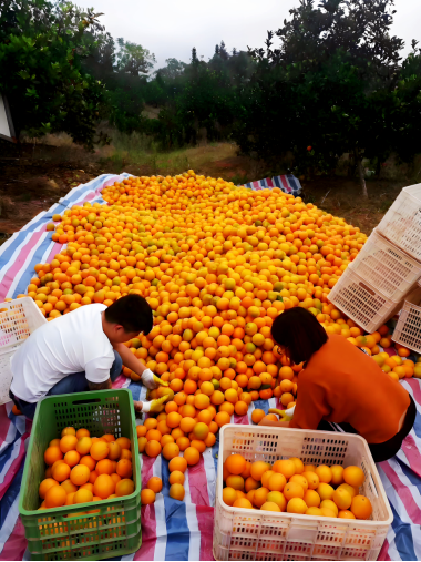 1749718161495028.png image.png