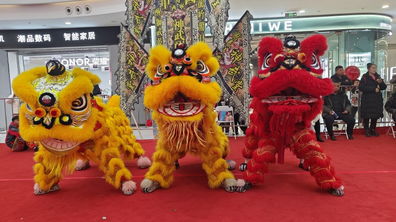 非遗搭台,就业唱戏:西宁首届乡村振兴舞狮大赛圆满落幕,技能人才与市场实现“双向奔赴”