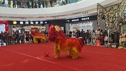 非遗搭台,就业唱戏:西宁首届乡村振兴舞狮大赛圆满落幕,技能人才与市场实现“双向奔赴”