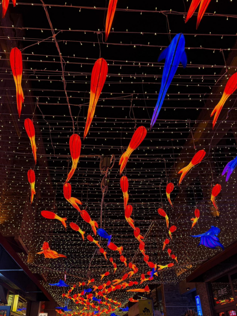 斗级营新春盛宴演绎“江汉揽胜”新图景