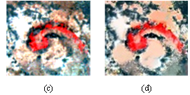 nature系列期刊最新发表:重庆理工大学团队携手莱森光学,以高光谱成像