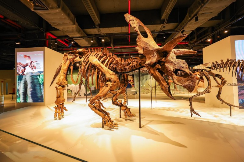 喜迎全运,五度同行:正佳广场携手广马共筑城市体育年