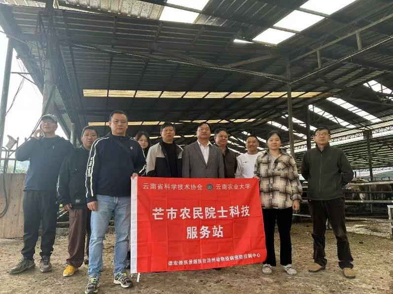 《芒市农民院士科技服务站赴芒丙村开展调研指导,助力养殖发展》