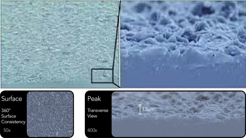 狮城论剑启新篇 motiva梦萦携手中国专家重塑东方女性健康美学范式