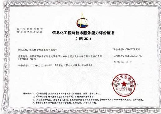 农夫铺子集团荣膺cn-iets e级认证,信息化服务能力领跑行业