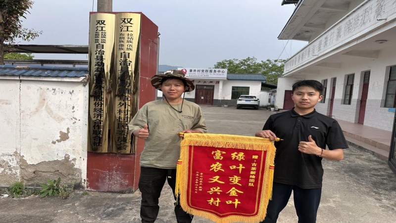 “绿叶变金叶”古茶新绘-学生团队赋能茶产业振兴促农增收