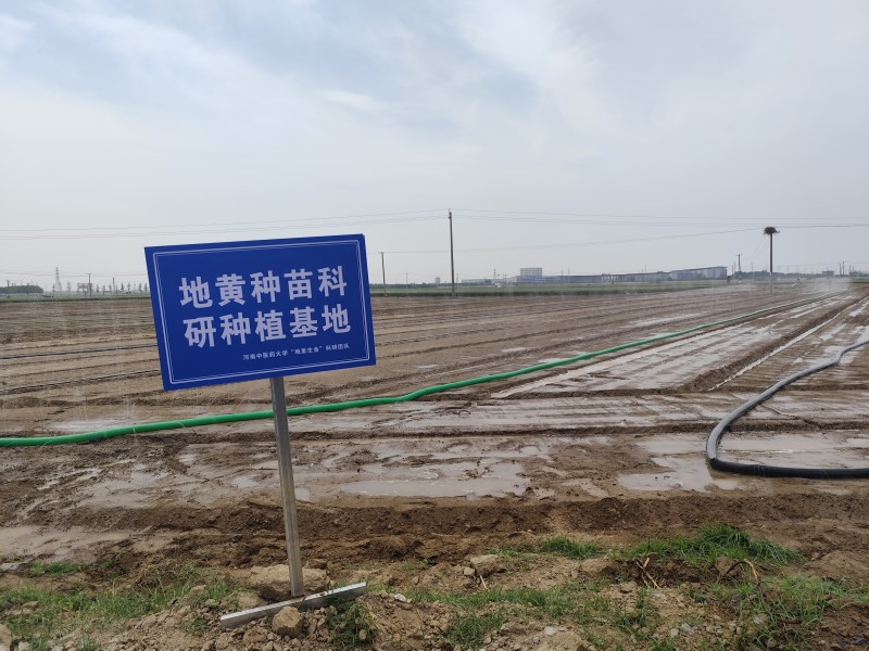 河南中医药大学“地里生金”实践团队走进焦作温县