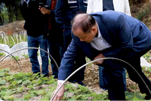 安发生物:以高品质生态原材料夯实企业发展基石,“链”就乡村振兴新图景