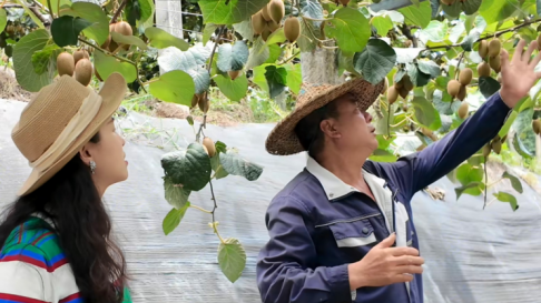 安发生物:以高品质生态原材料夯实企业发展基石,“链”就乡村振兴新图景