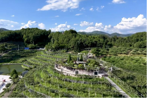 安发生物:以高品质生态原材料夯实企业发展基石,“链”就乡村振兴新图景