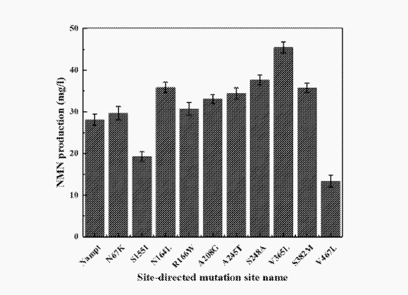 全球抗衰技术再升级!赛立复以专利技术夯实nmn产业链科研壁垒