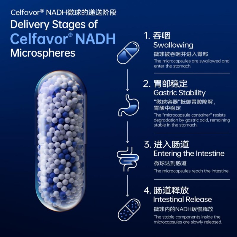 携手见证创新突破:celfull赛立复邀您莅临supplyside global 2025