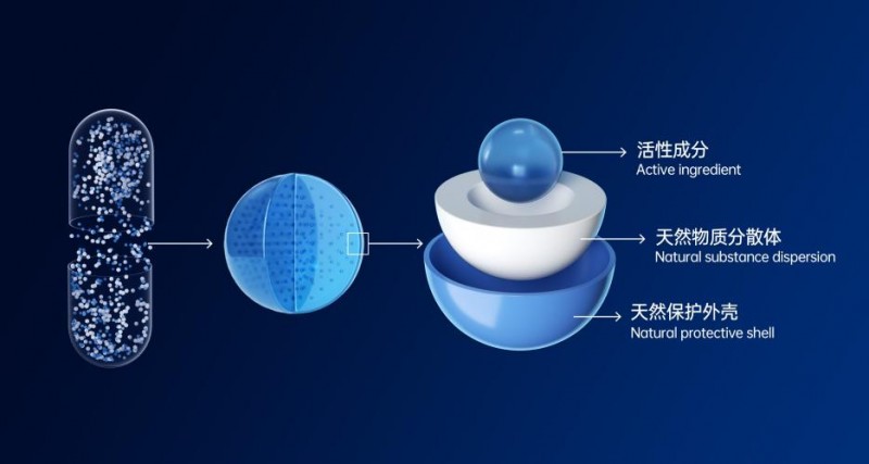 携手见证创新突破:celfull赛立复邀您莅临supplyside global 2025