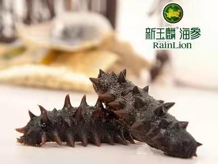 解码海参：新玉麟引领健康饮食新体验