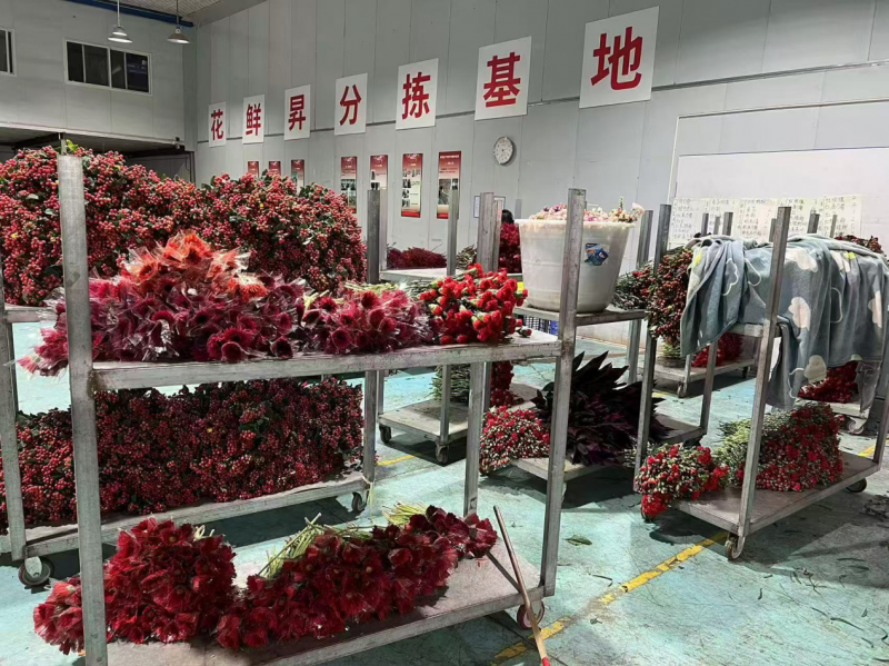 杭州花鲜昇物联科技深度响应国家提振消费政策,以鲜花新零售蓝海市场赋能美好生活