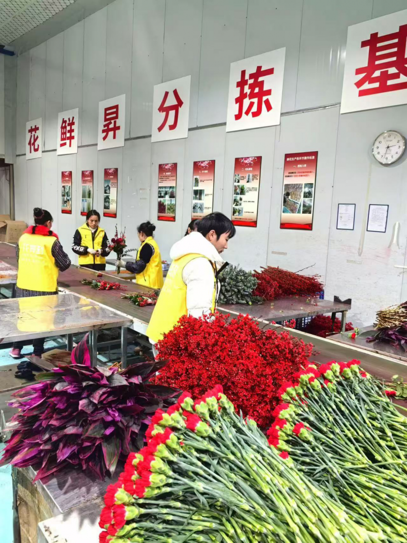 杭州花鲜昇物联科技深度响应国家提振消费政策,以鲜花新零售蓝海市场赋能美好生活