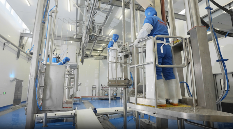 左庭右院鲜牛肉溯源【探索日】走进湖州自家屠场 解锁无抗鲜牛肉的 “安全密码”