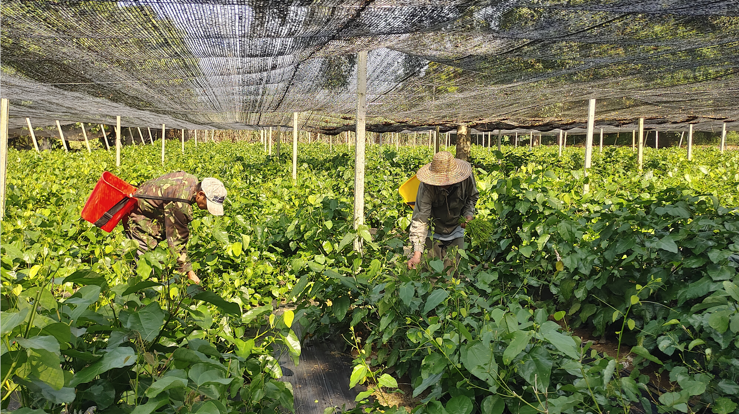 1722334302144648.png image.png